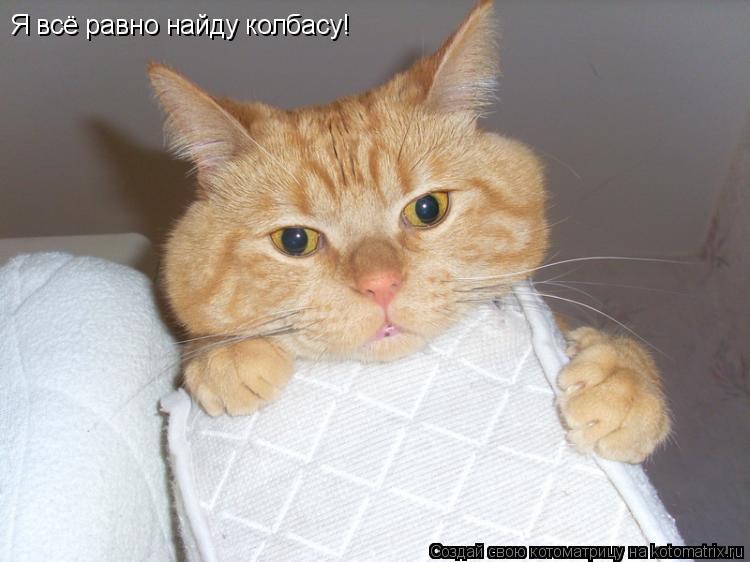 Я всё равно найду колбасу!... Котоматрица: Я всё равно найду колбасу!