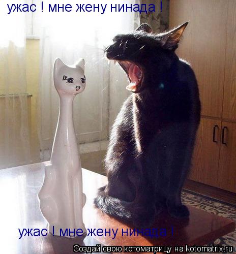 Котоматрица: ужас ! мне жену нинада ! ужас ! мне жену нинада !