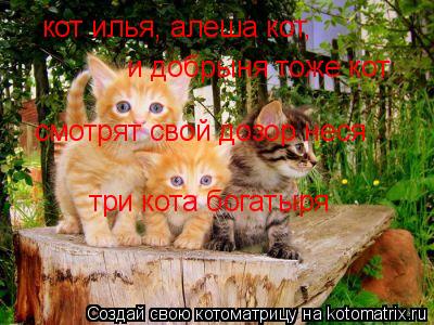 кот илья, алеша кот, и добрыня тоже кот смотрят свой дозор неся три кота богатыря... Котоматрица: кот илья, алеша кот, и добрыня тоже кот смотрят свой дозор неся три кота богатыря