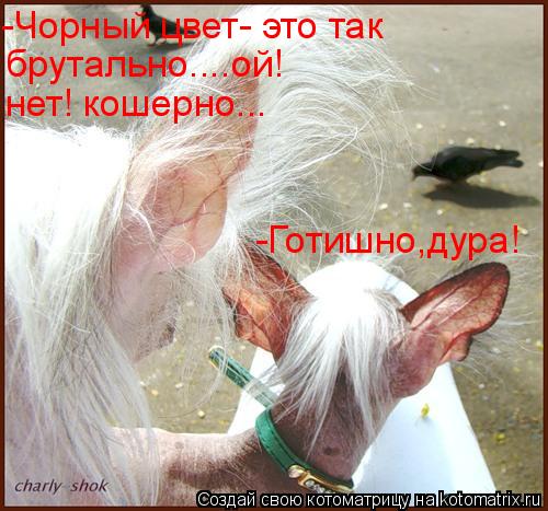 Котоматрица: -Чорный цвет- это так брутально....ой! нет! кошерно... -Готишно,дура!