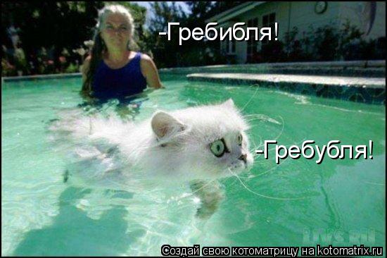 -Гребибля! -Гребубля!... Котоматрица: -Гребибля! -Гребубля!