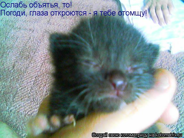Ослабь объятья, то! Погоди, глаза откроются - я тебе отомщу!... Котоматрица: Ослабь объятья, то! Погоди, глаза откроются - я тебе отомщу!