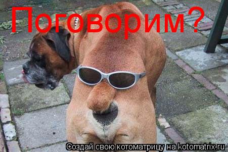 Поговорим?... Котоматрица: Поговорим?