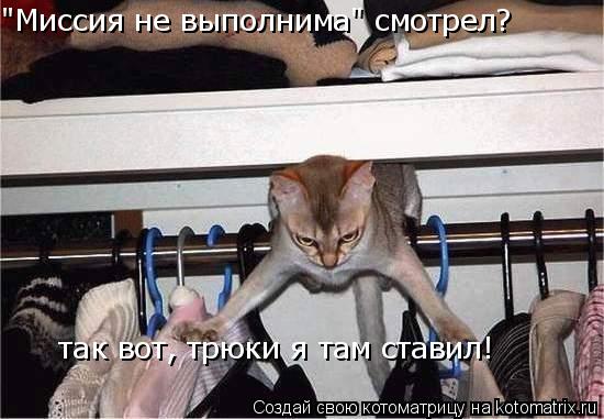 "Миссия не выполнима" смотрел? так вот, трюки я там ставил!... Котоматрица: "Миссия не выполнима" смотрел? так вот, трюки я там ставил!