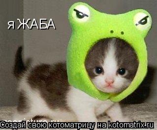 я ЖАБА... Котоматрица: я ЖАБА