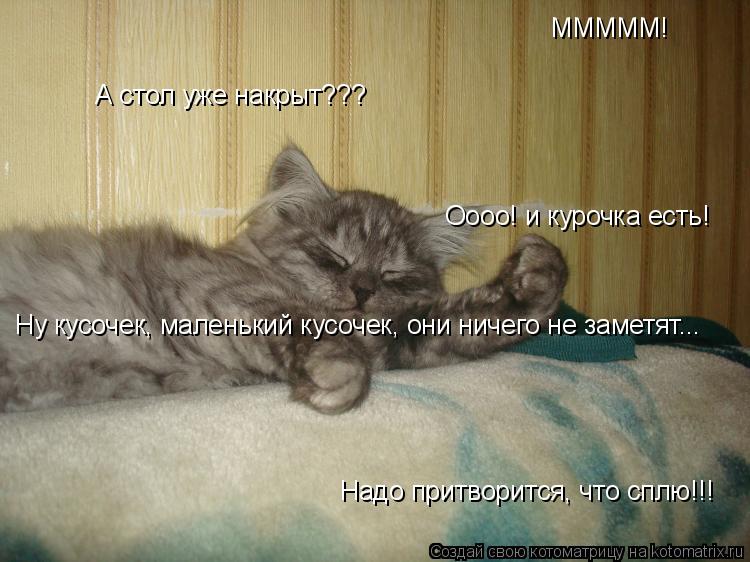 МММММ! А стол уже накрыт??? Оооо! и курочка есть! Ну кусочек, маленький кусочек, они ничего не заметя... Котоматрица: МММММ! А стол уже накрыт??? Оооо! и курочка есть! Ну кусочек, маленький кусочек, они ничего не заметят... Надо притворится, что сплю!!!