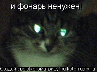 Котоматрица: и фонарь ненужен!