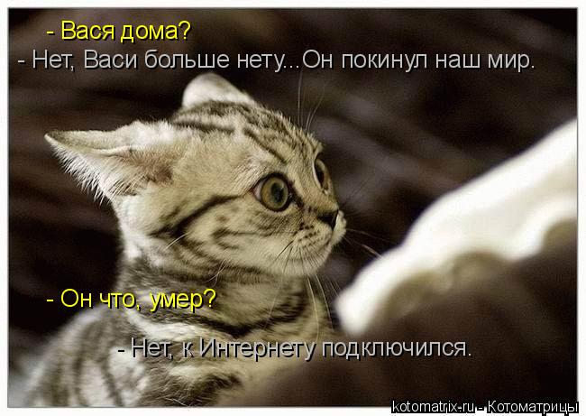 - Вася дома? - Нет, Васи больше нету...Он покинул наш мир. - Он что, умер? - Нет, к Интернету подключ... Котоматрица: - Вася дома? - Нет, Васи больше нету...Он покинул наш мир. - Он что, умер? - Нет, к Интернету подключился.