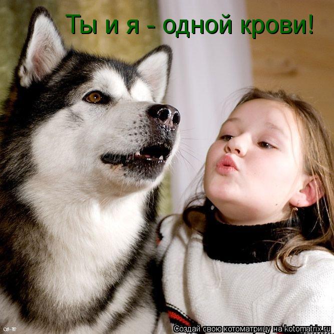 Ты и я - одной крови!... Котоматрица: Ты и я - одной крови!