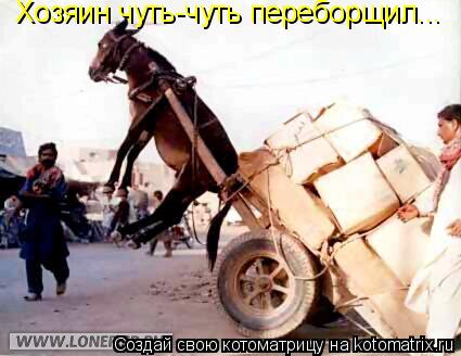 Котоматрица: Хозяин чуть-чуть переборщил...