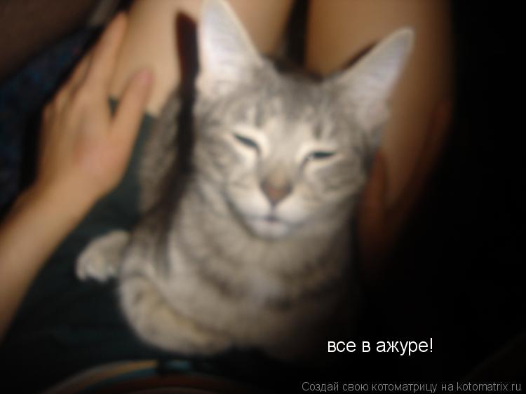 Котоматрица: все в ажуре!