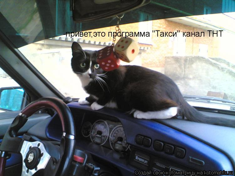 -привет,это программа "Такси" канал ТНТ... Котоматрица: -привет,это программа "Такси" канал ТНТ