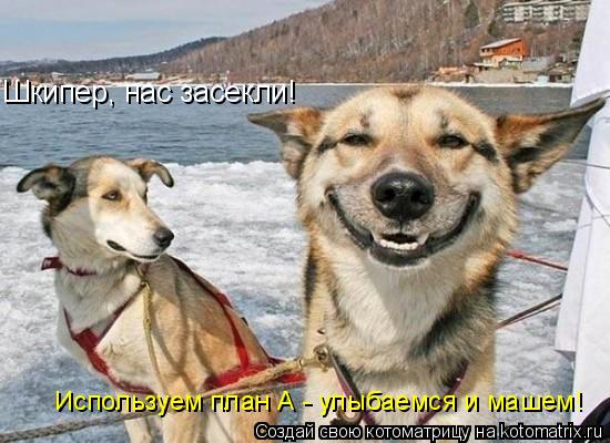 Котоматрица: Шкипер, нас засекли! Используем план А - улыбаемся и машем!