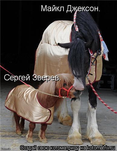 Майкл Джексон. Сергей Зверев.... Котоматрица: Майкл Джексон. Сергей Зверев.