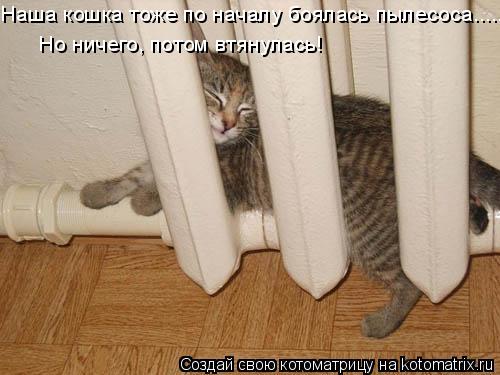 Наша кошка тоже по началу боялась пылесоса..... Но ничего, потом втянулась!... Котоматрица: Наша кошка тоже по началу боялась пылесоса..... Но ничего, потом втянулась!