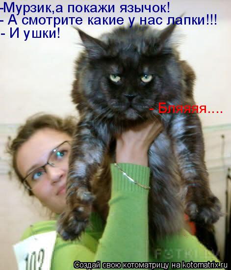 -Мурзик,а покажи язычок! - А смотрите какие у нас лапки!!! - И ушки! - Бляяяя....... Котоматрица: -Мурзик,а покажи язычок! - А смотрите какие у нас лапки!!! - И ушки! - Бляяяя....