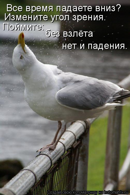 Все время падаете вниз? Измените угол зрения. Поймите: без взлёта нет и падения.... Котоматрица: Все время падаете вниз? Измените угол зрения. Поймите: без взлёта нет и падения.