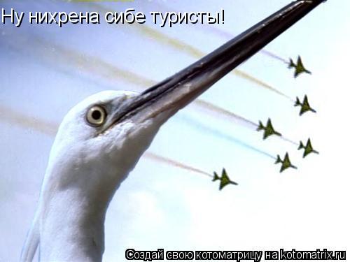 Котоматрица: Ну нихрена сибе туристы!