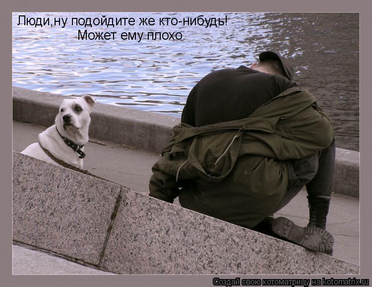 Люди,ну подойдите же кто-нибудь! Может ему плохо.... Котоматрица: Люди,ну подойдите же кто-нибудь! Может ему плохо.