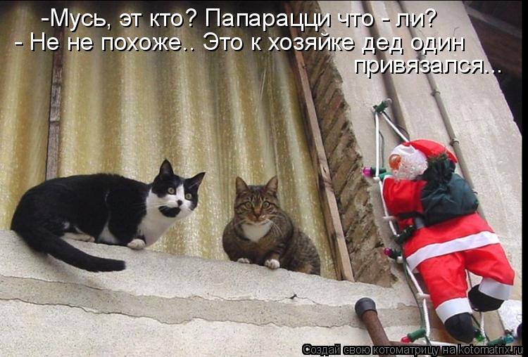 -Мусь, эт кто? Папарацци что - ли? привязался... - Не не похоже.. Это к хозяйке дед один... Котоматрица: -Мусь, эт кто? Папарацци что - ли? привязался... - Не не похоже.. Это к хозяйке дед один
