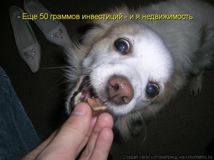 - Еще 50 граммов инвестиций - и я недвижимость.... Котоматрица: - Еще 50 граммов инвестиций - и я недвижимость.