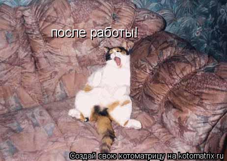 после работы!... Котоматрица: после работы!