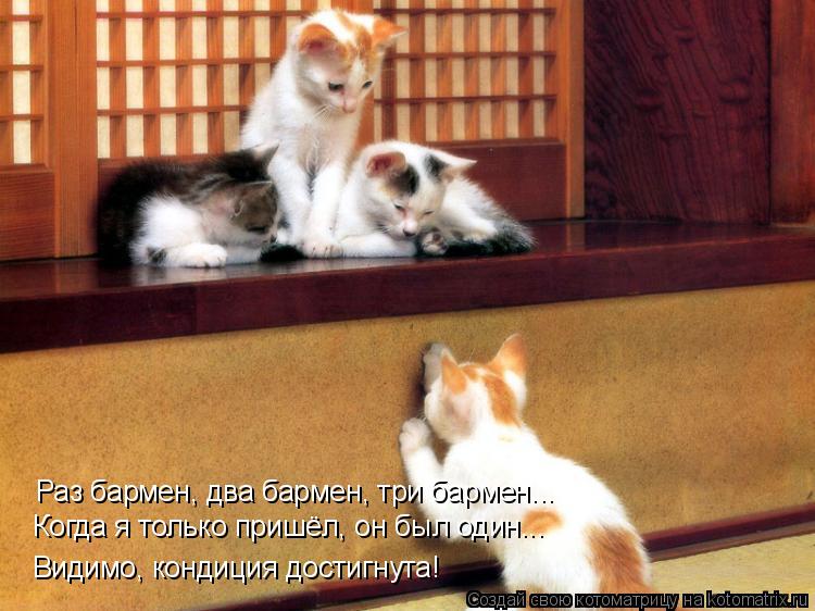 Раз бармен, два бармен, три бармен... Видимо, кондиция достигнута! Когда я только пришёл, он был один... Котоматрица: Раз бармен, два бармен, три бармен... Видимо, кондиция достигнута! Когда я только пришёл, он был один...