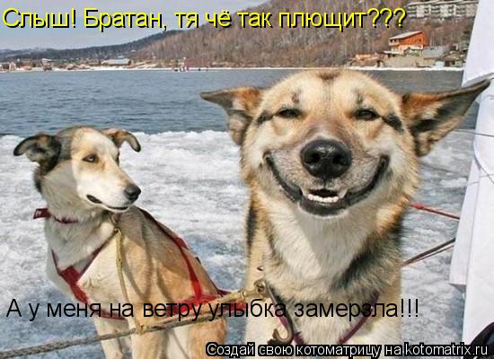 Слыш! Братан, тя чё так плющит??? А у меня на ветру улыбка замерзла!!!... Котоматрица: Слыш! Братан, тя чё так плющит??? А у меня на ветру улыбка замерзла!!!