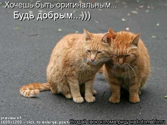 Хочешь быть оригинальным... Будь добрым...)))... Котоматрица: Хочешь быть оригинальным... Будь добрым...)))