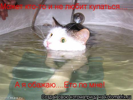 Может кто-то и не любит купаться.... А я обажаю....Ето по мне!... Котоматрица: Может кто-то и не любит купаться.... А я обажаю....Ето по мне!
