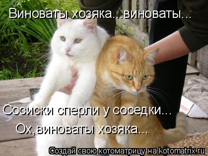 Виноваты хозяка...виноваты... Сосиски сперли у соседки... Ох,виноваты хозяка...... Котоматрица: Виноваты хозяка...виноваты... Сосиски сперли у соседки... Ох,виноваты хозяка...