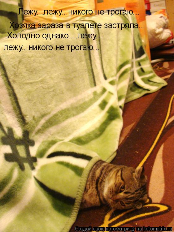 Лежу...лежу...никого не трогаю... Хозяка зараза в туалете застряла... Холодно однако....лежу... лежу.... Котоматрица: Лежу...лежу...никого не трогаю... Хозяка зараза в туалете застряла... Холодно однако....лежу... лежу...никого не трогаю...