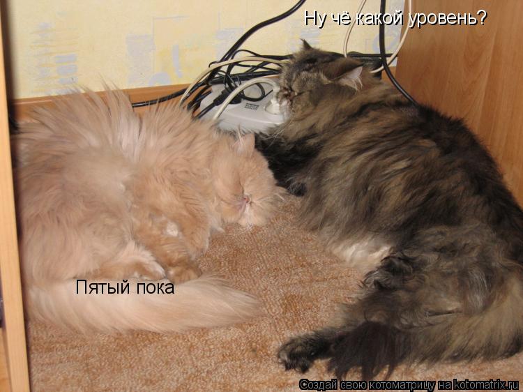 Ну чё какой уровень? Пятый пока... Котоматрица: Ну чё какой уровень? Пятый пока