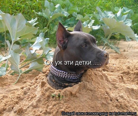 Котоматрица: Ох уж эти детки......