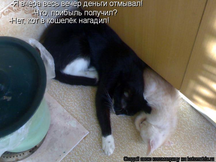 -Я вчера весь вечер деньги отмывал! -Что, прибыль получил? -Нет, кот в кошелёк нагадил!... Котоматрица: -Я вчера весь вечер деньги отмывал! -Что, прибыль получил? -Нет, кот в кошелёк нагадил!