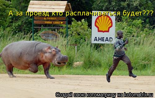А за проезд кто расплачиваться будет???... Котоматрица: А за проезд кто расплачиваться будет???