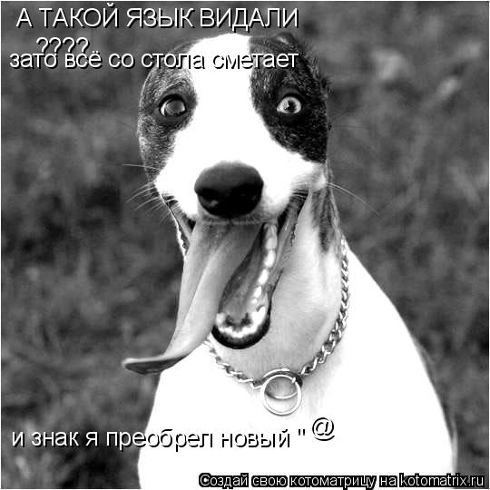 А ТАКОЙ ЯЗЫК ВИДАЛИ ???? зато всё со стола сметает и знак я преобрел новый " @... Котоматрица: А ТАКОЙ ЯЗЫК ВИДАЛИ ???? зато всё со стола сметает и знак я преобрел новый " @