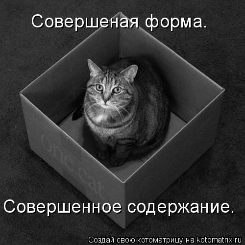 Совершеная форма. Совершенное содержание.... Котоматрица: Совершеная форма. Совершенное содержание.