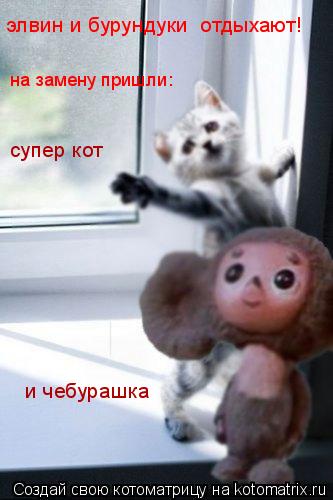 элвин и бурундуки отдыхают! на замену пришли: супер кот и чебурашка... Котоматрица: элвин и бурундуки отдыхают! на замену пришли: супер кот и чебурашка