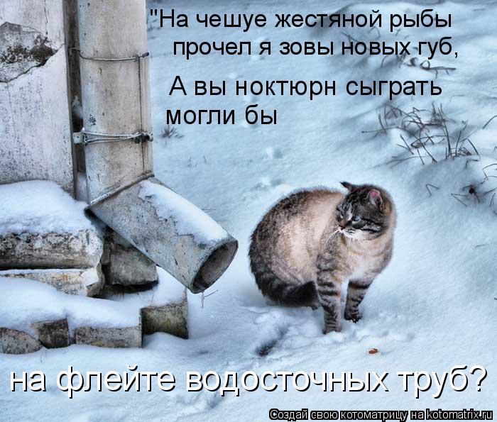"На чешуе жестяной рыбы прочел я зовы новых губ, А вы ноктюрн сыграть могли бы на флейте водосточн... Котоматрица: "На чешуе жестяной рыбы прочел я зовы новых губ, А вы ноктюрн сыграть могли бы на флейте водосточных труб?