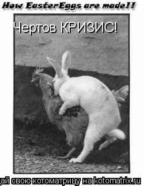 Котоматрица: Чертов КРИЗИС!