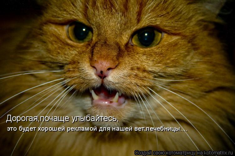 Дорогая,почаще улыбайтесь, это будет хорошей рекламой для нашей вет.лечебницы....... Котоматрица: Дорогая,почаще улыбайтесь, это будет хорошей рекламой для нашей вет.лечебницы....