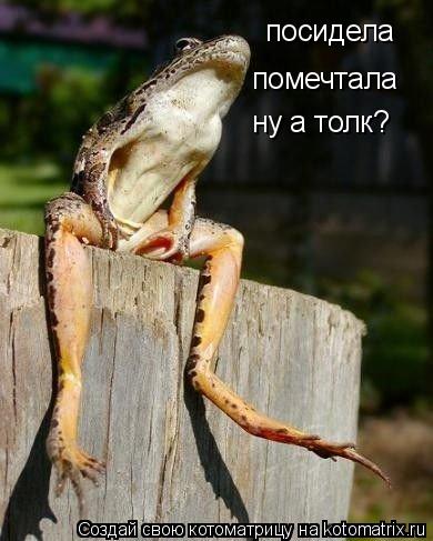 посидела помечтала ну а толк?... Котоматрица: посидела помечтала ну а толк?