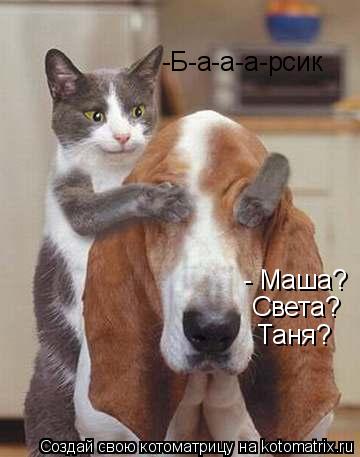 - Маша? - Маша? Света? Таня? -Б-а-а-а-рсик... Котоматрица: - Маша? - Маша? Света? Таня? -Б-а-а-а-рсик