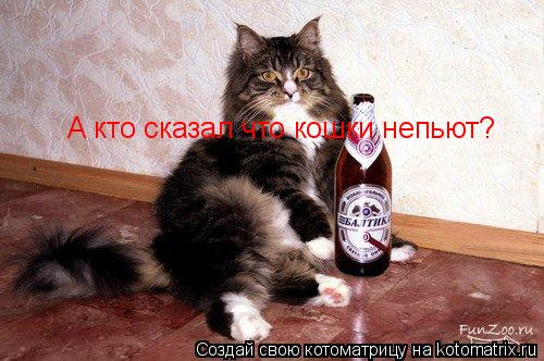 А кто сказал что кошки непьют?... Котоматрица: А кто сказал что кошки непьют?