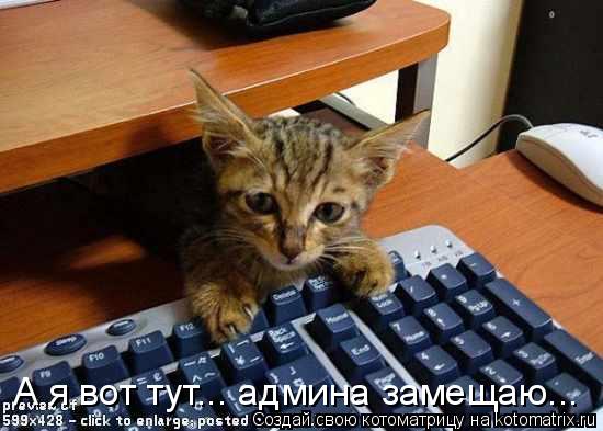 Котоматрица: А я вот тут... админа замещаю...
