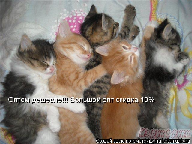 Оптом дешевле!!! Большой опт скидка 10%... Котоматрица: Оптом дешевле!!! Большой опт скидка 10%