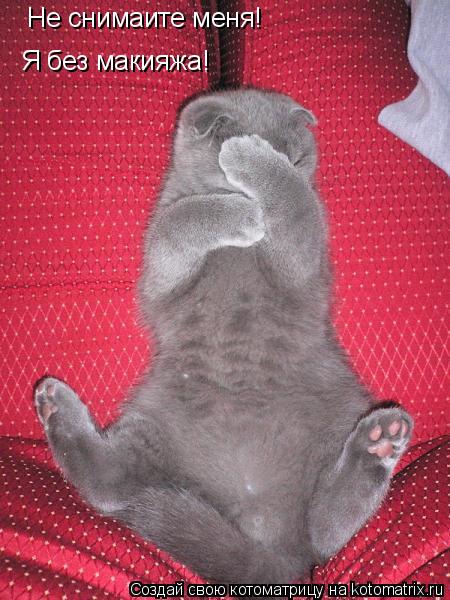 Не снимаите меня! Я без макияжа!... Котоматрица: Не снимаите меня! Я без макияжа!