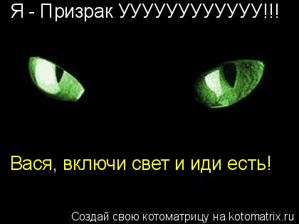 Котоматрица: Я - Призрак УУУУУУУУУУУУ!!! Вася, включи свет и иди есть!