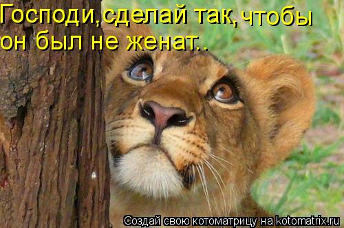Господи,сделай так, Господи,сделай так, чтобы он был не женат..... Котоматрица: Господи,сделай так, Господи,сделай так, чтобы он был не женат..